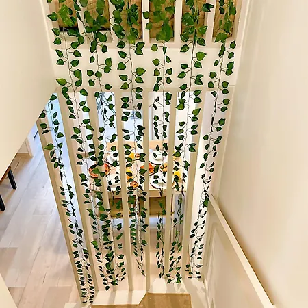 Entire 2 Bedroom Family Friendly House In Belem 3 To 5 Guests